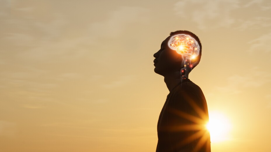 FOTO DE LA SILUETA DE HOMBRE CONTRA EL SOL MOSTRANDO SU CEREBRO ILUMINADO COMO EJEMPLO DE LA PSICOLOGIA HUMANISTA