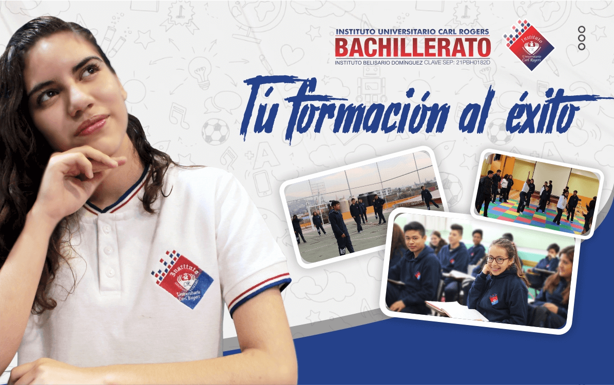 bachicarl