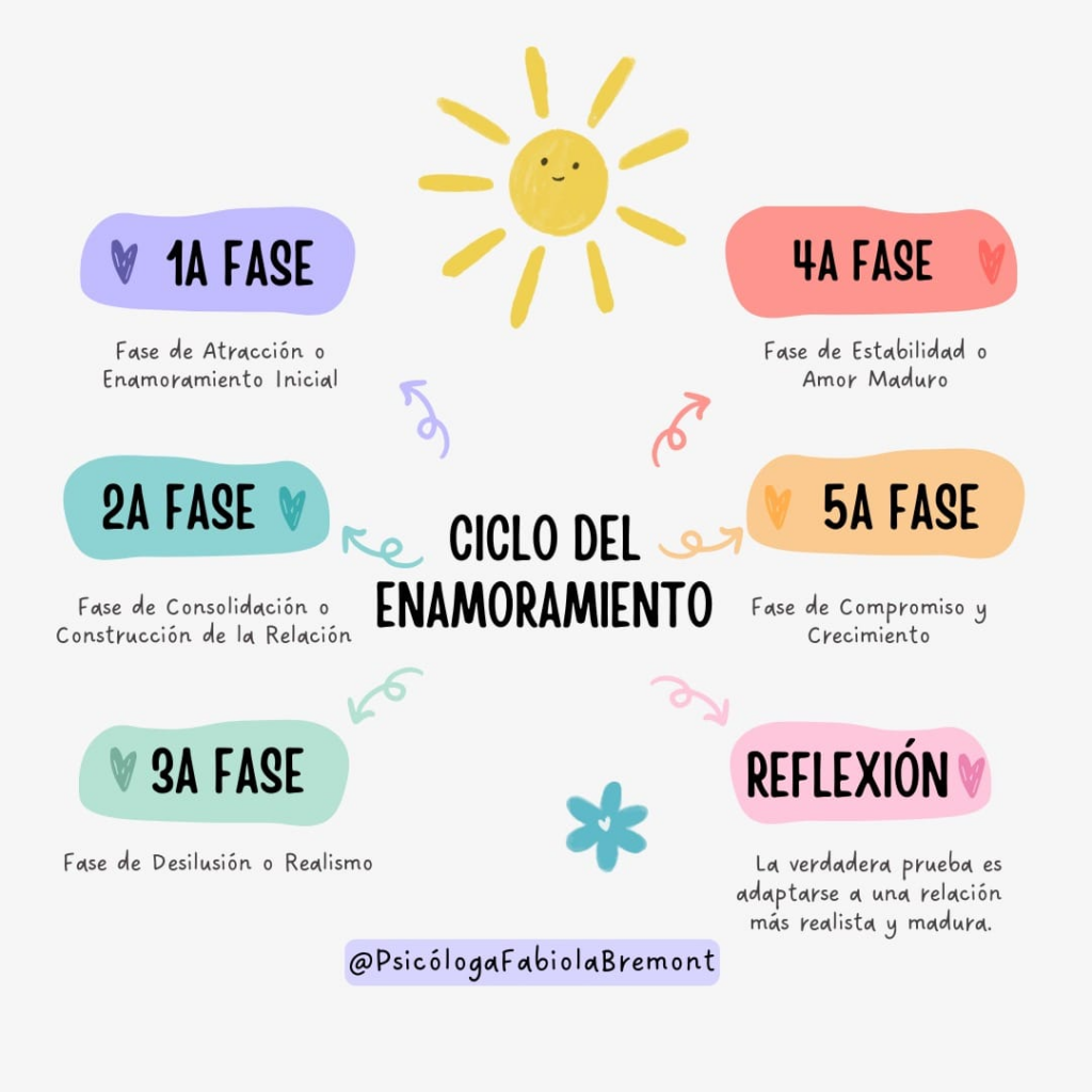 Infografia sobre los tipos de de ciclos en el enamoramiento